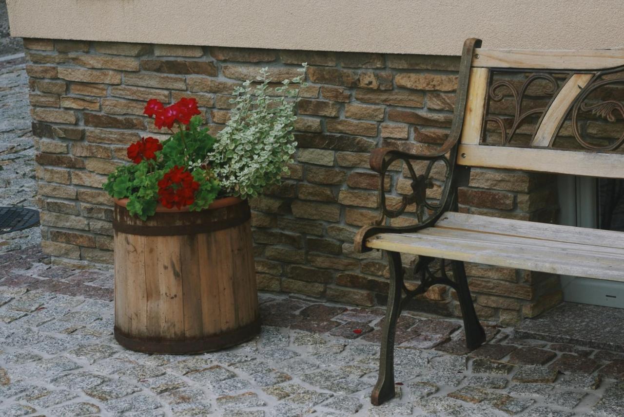 Apartamenty Agroturystyczne Papiernia Недзведзь Экстерьер фото
